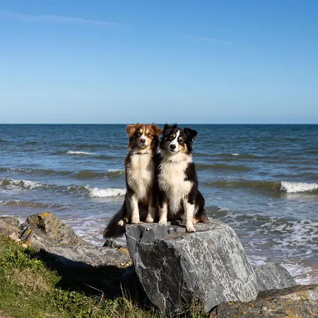 Chez Lilo By Interhome Saint-Laurent-sur-Mer