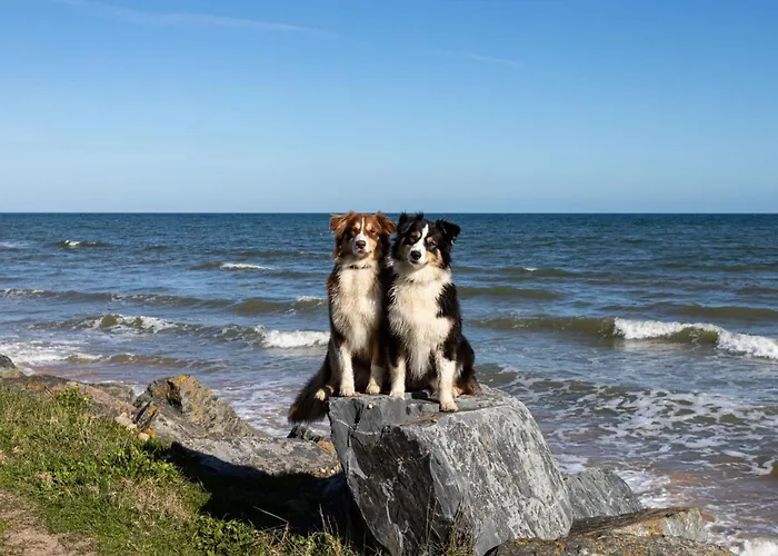 Chez Lilo By Interhome סן-לוראן-סור-מר